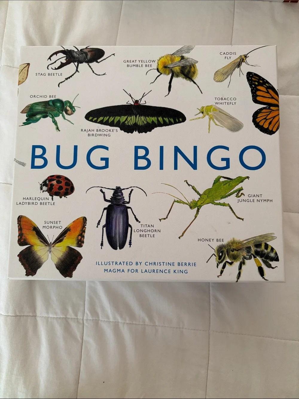 Anthropologie Bug Bingo Kids Toy Game - White with Colorful Insect Artwork